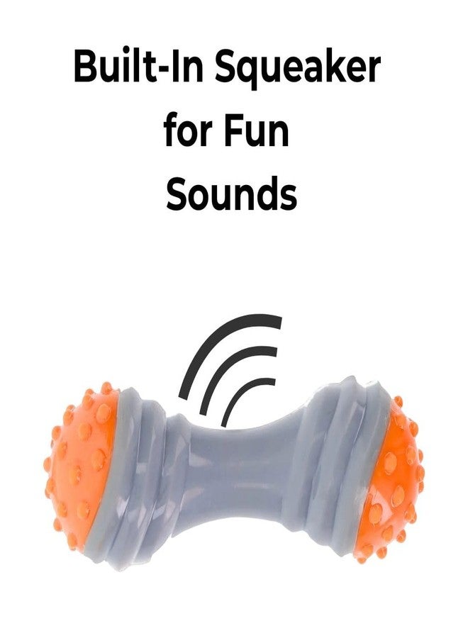 PET FUN ألعاب مضغ للكلاب من بيت فن - ألعاب مطاطية على شكل دمبل للجراء والكلاب الصغيرة والمتوسطة - ألعاب تدريب متينة وغير سامة تصدر صوتاً وتفاعلية، عبوة من 4 قطع - Image 5